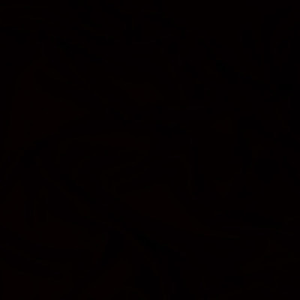 Meet your Posher, Alondra